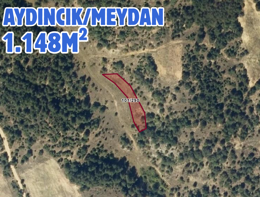 İlan Resmi